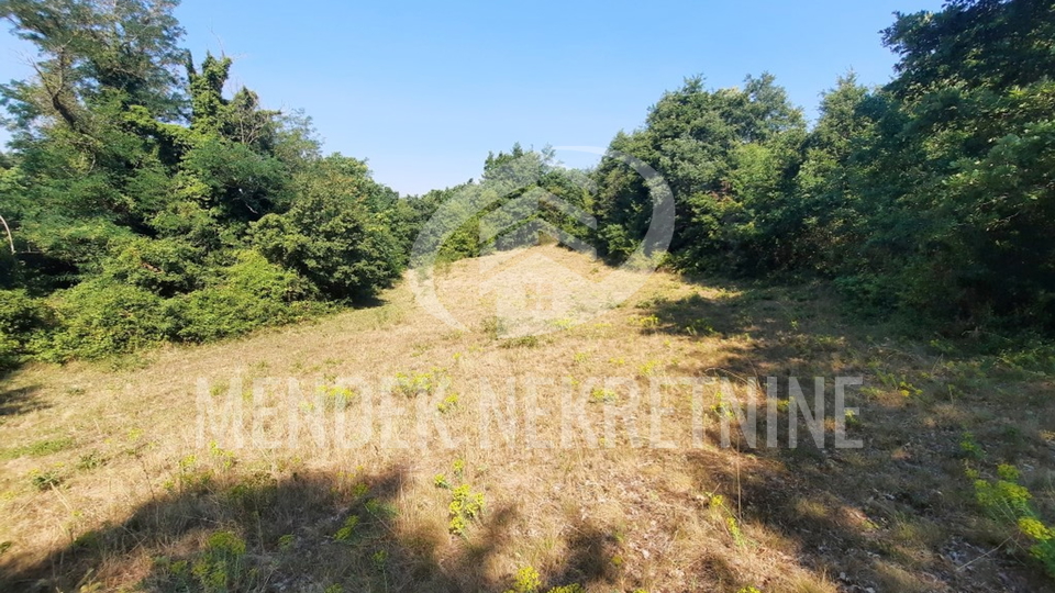 Land, 15000 m2, For Sale, Žminj